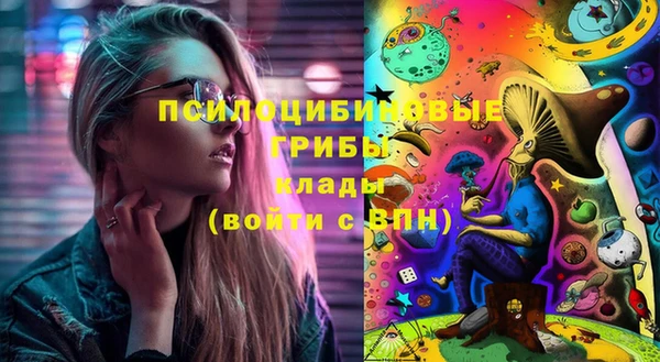 спайс Козельск