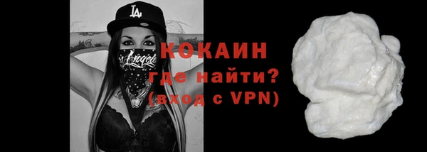сатива Коряжма