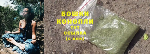 сатива Коряжма
