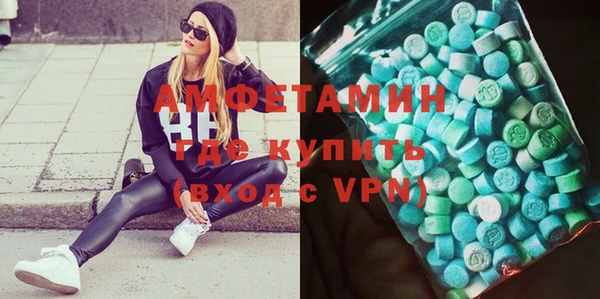 сатива Коряжма