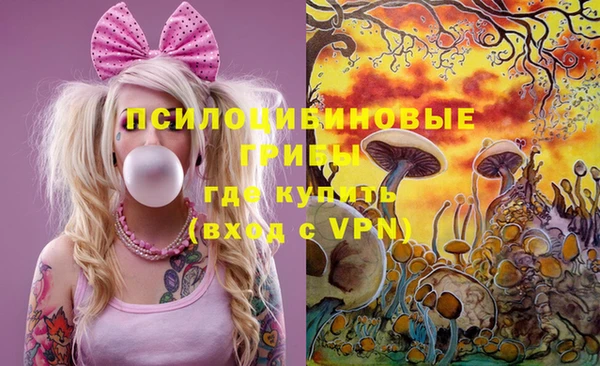 спайс Козельск