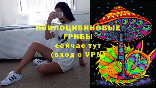 кристаллы Козловка