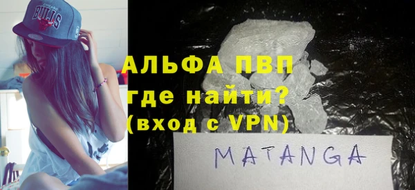 прущие грибы Краснотурьинск