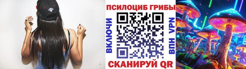Галлюциногенные грибы Psilocybe  даркнет Telegram  Красавино  дарнет шоп 
